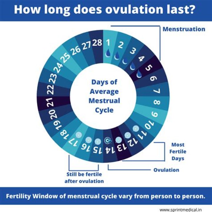 How long does it take to get pregnant on ovulation day?