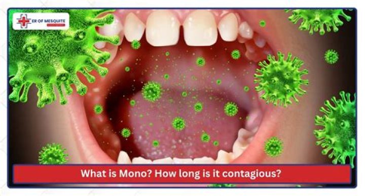 How long is mono contagious after antibiotics?