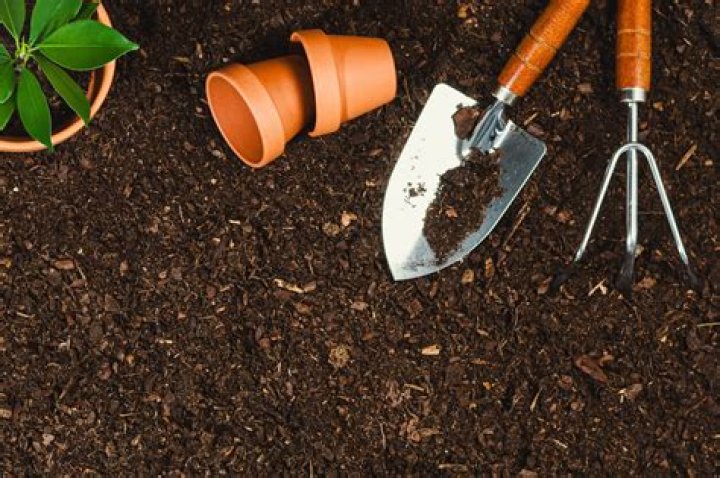 How long is potting soil good for?