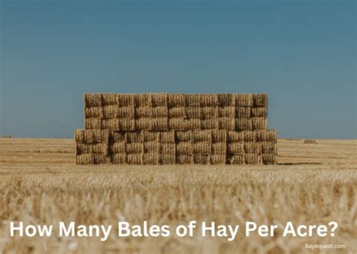 How many bales of hay do you get per acre?