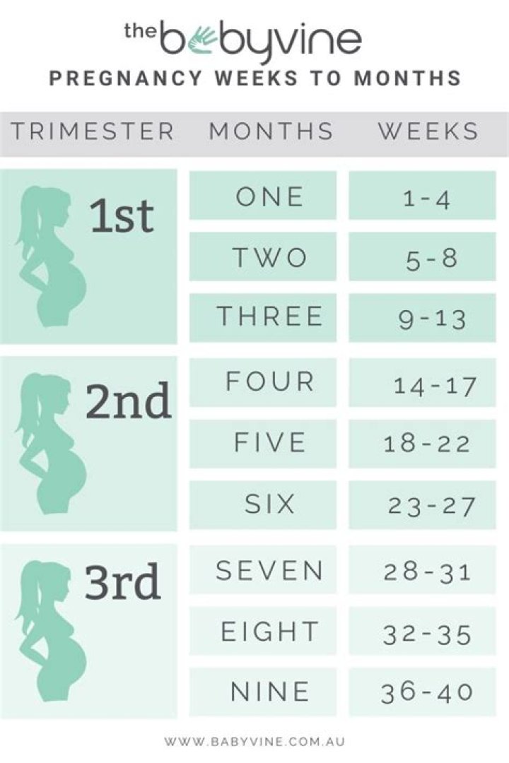 How many bras do you need for 2 weeks?