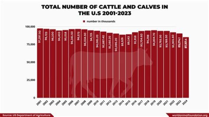 How many cows are killed each year for leather?