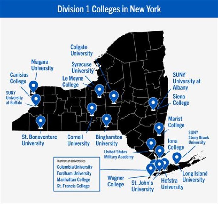 How many D1 schools are there?