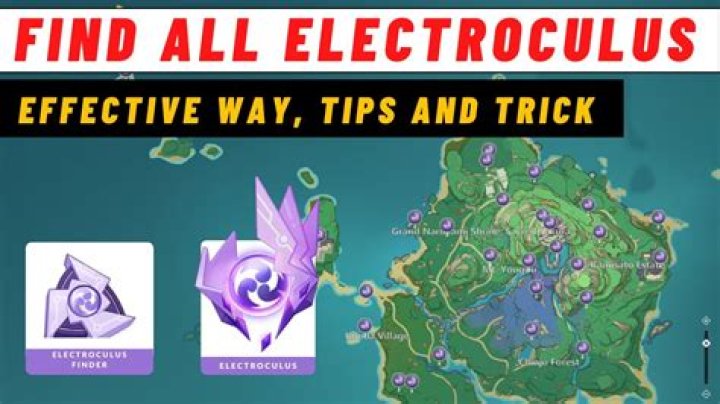 How many Electroculus do you need?