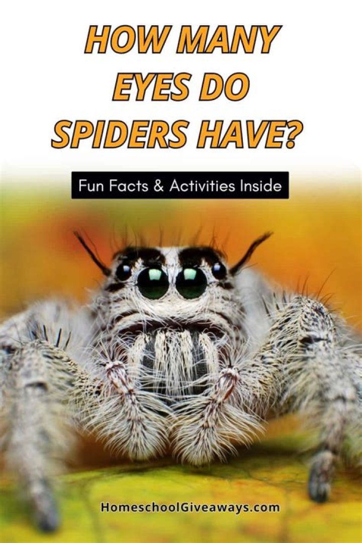 How many eyes do God have?
