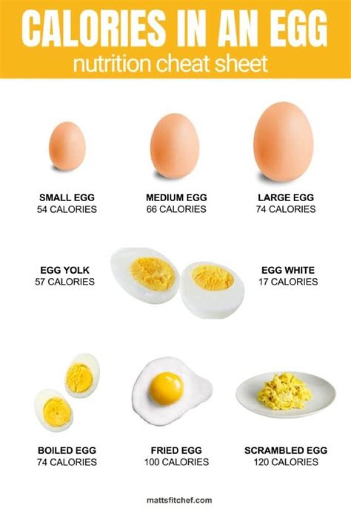 How many lice are in an egg?