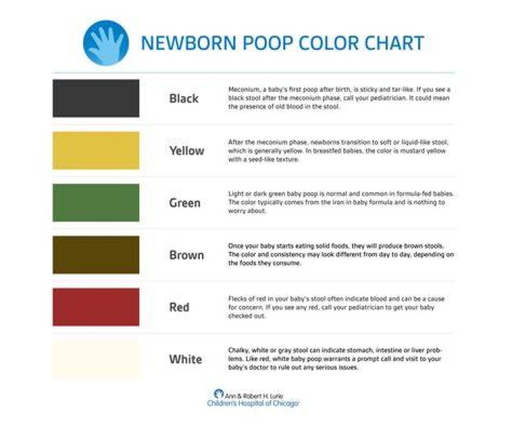 How many poops a day should a newborn have?