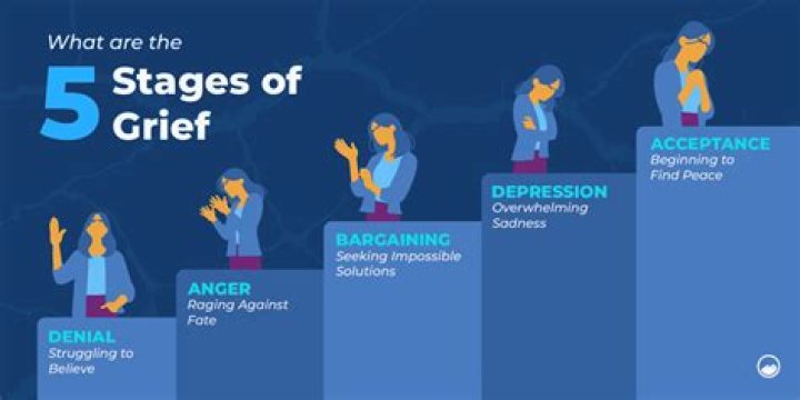 How many stages are in Sifu?