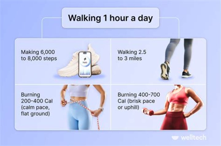 How many steps is a 1 hour walk?