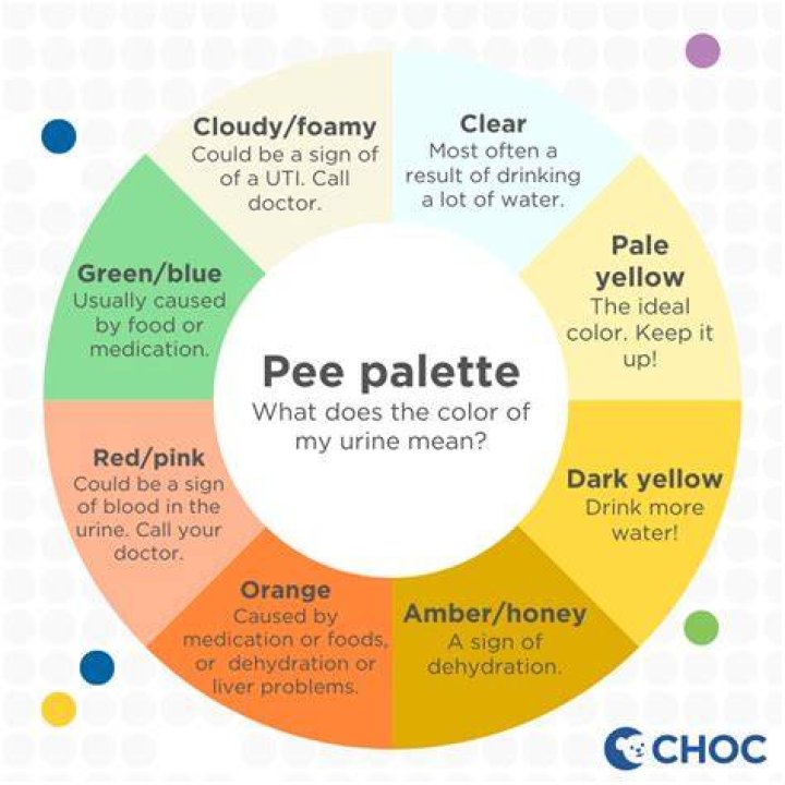 How many times should a person urinate per day?