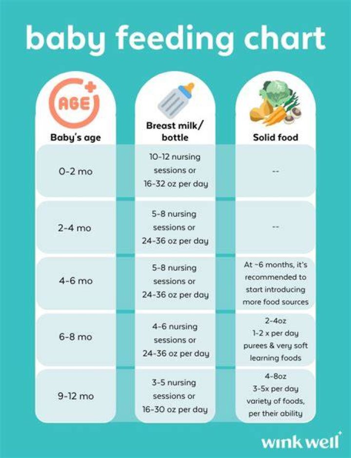How many times should I feed my newborn at night?
