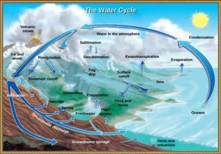 How many water cycles are there?