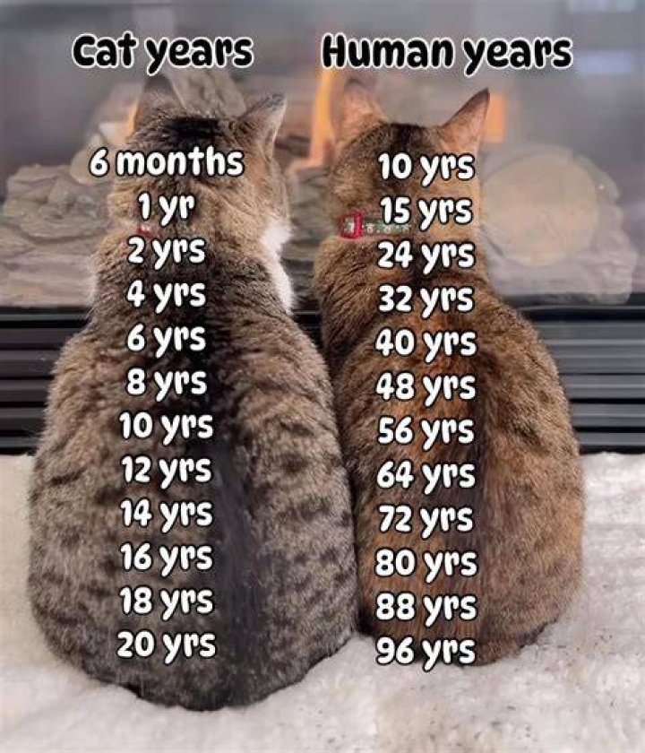 How many years do you keep your clothes?