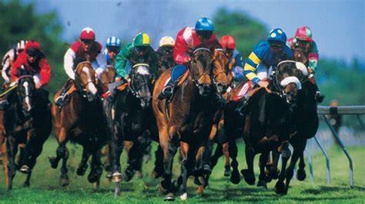 How much difference does a jockey make?