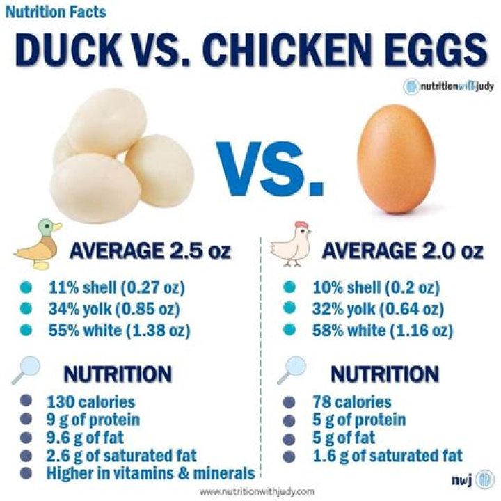 How much do duck eggs sell for?