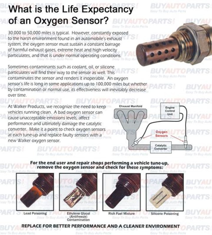 How much does an O2 sensor cost?