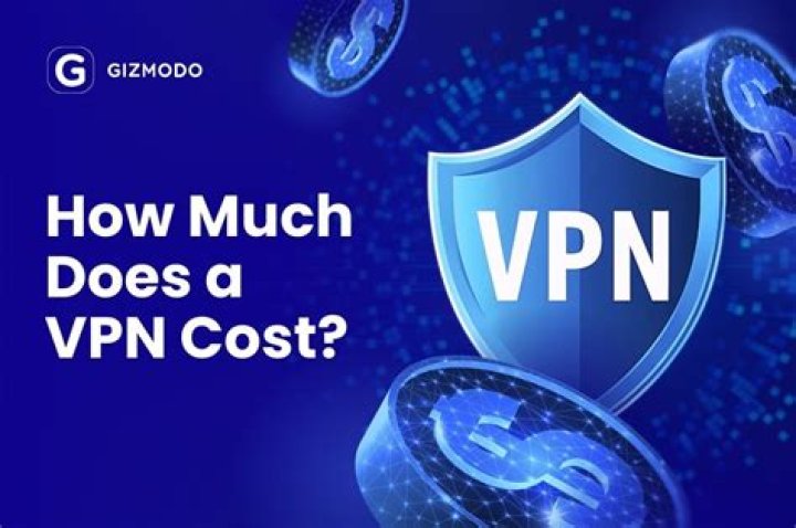 How much does VPN cost per month?