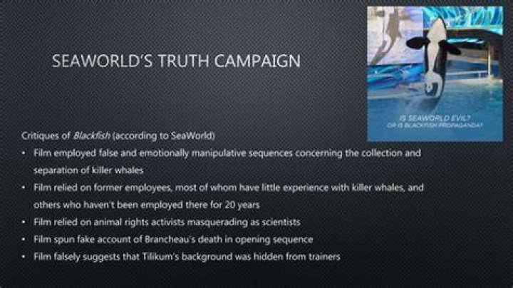 How much has SeaWorld lost since blackfish?