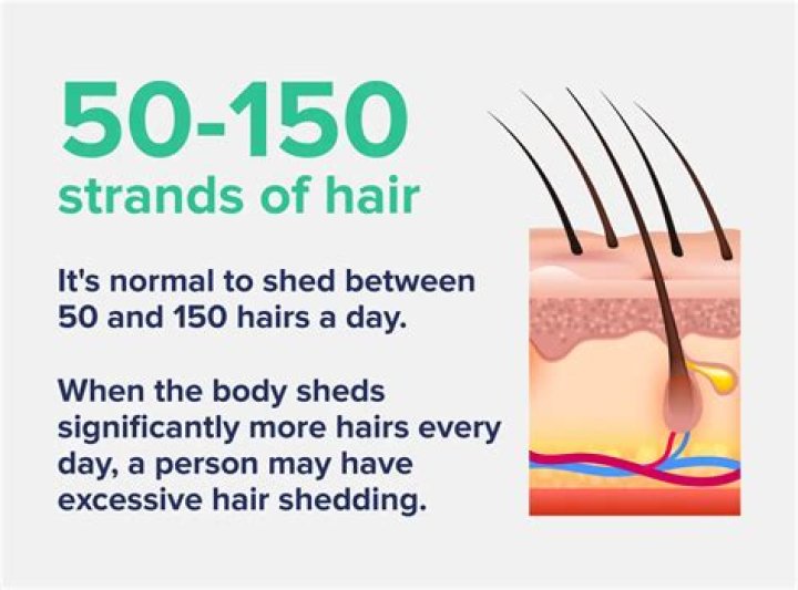 How much skin do you lose a day?