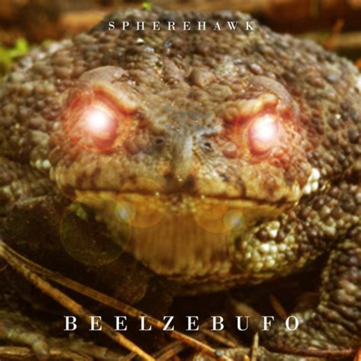 How much torpor does a beelzebufo do?