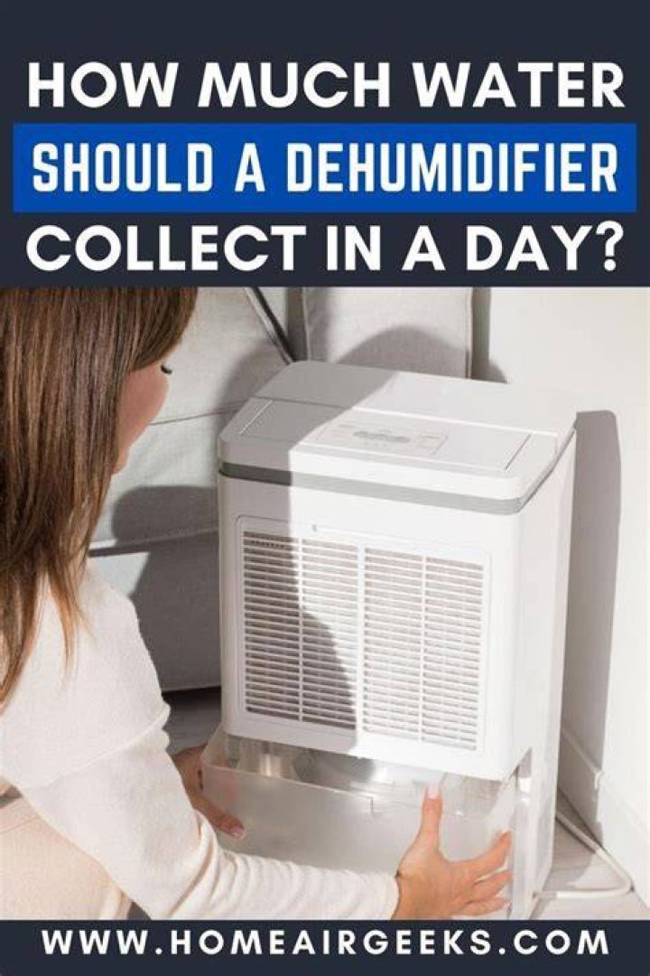 How much water should a dehumidifier collect in a day?