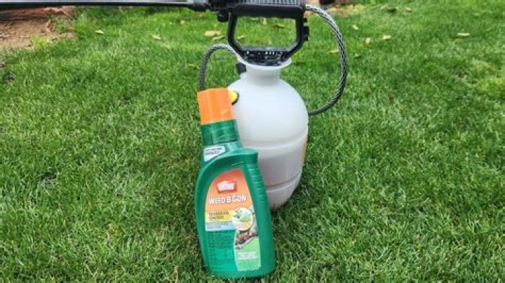 How often can I spray 2,4-D on my lawn?