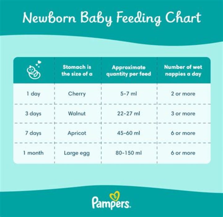How often does a newborn need a diaper change?