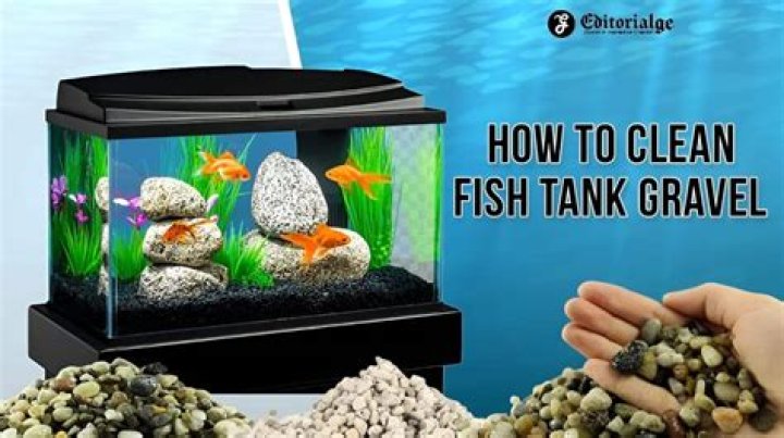 How often should you clean gravel in fish tank?