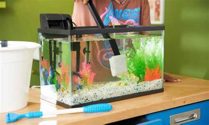 How often should you clean the rocks in a fish tank?