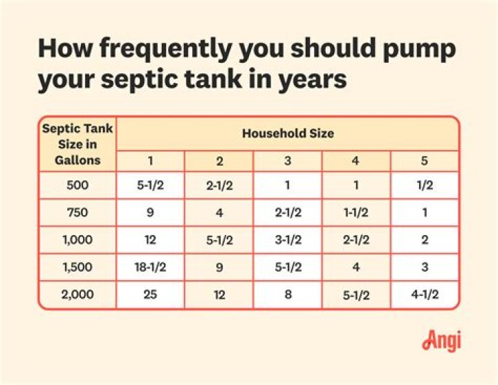 How often should you water gunite?