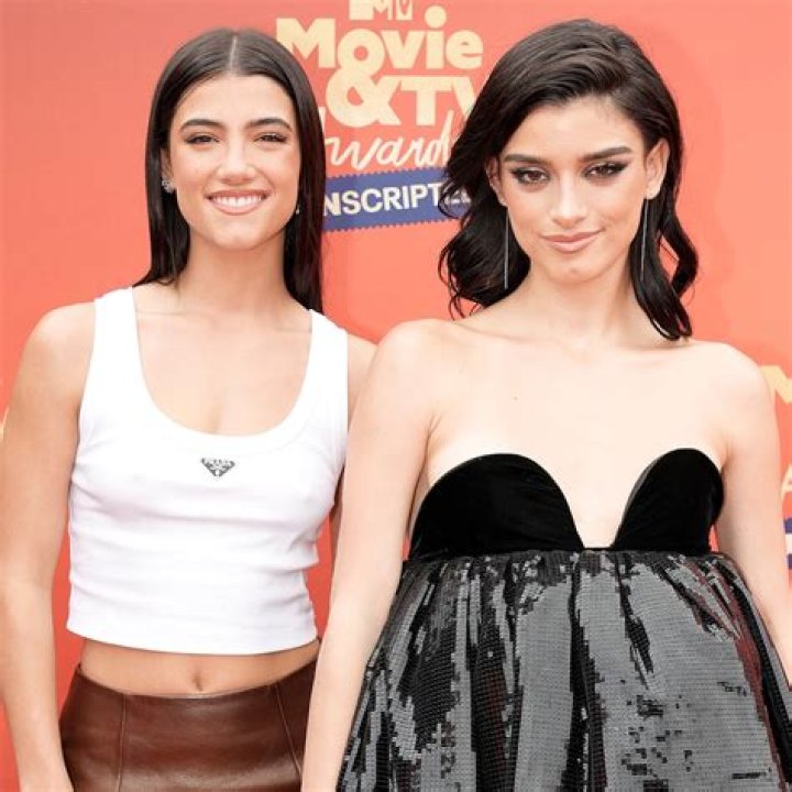 How old are the D'Amelio twins?