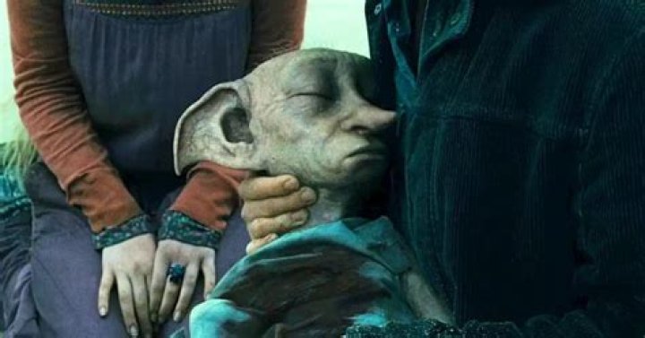 How old is Dobby?
