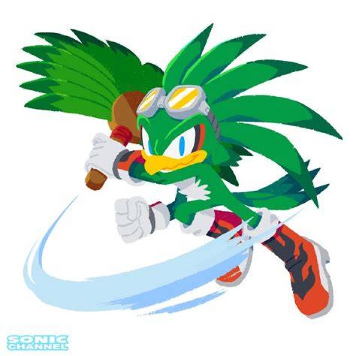How old is Jet the Hawk from Sonic?