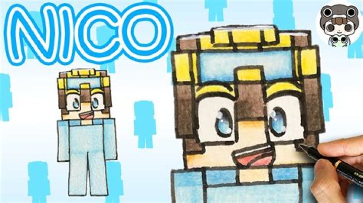How old is NotNico Minecraft?
