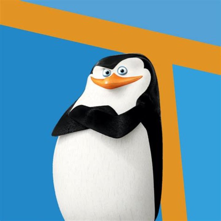 How old is Skipper from Madagascar?