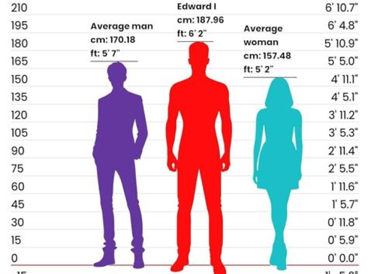 How old is the average person's car?