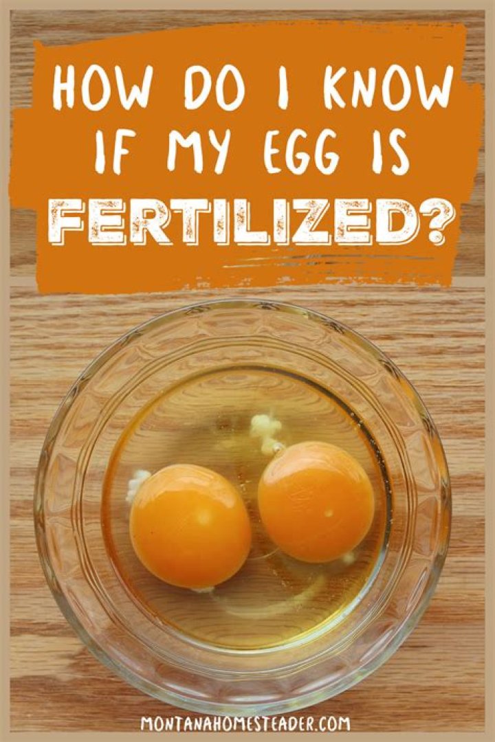 How quickly can you tell if you are pregnant?