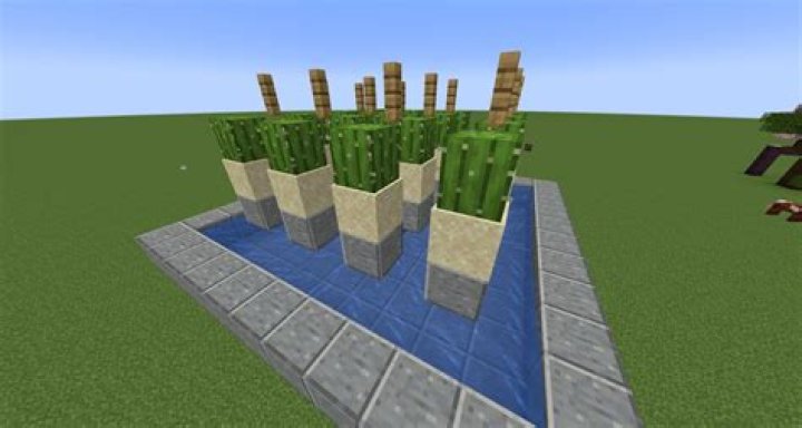 How rare is a 6 block tall cactus in Minecraft?
