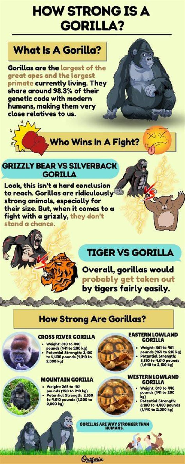 How strong is a gorilla bite?