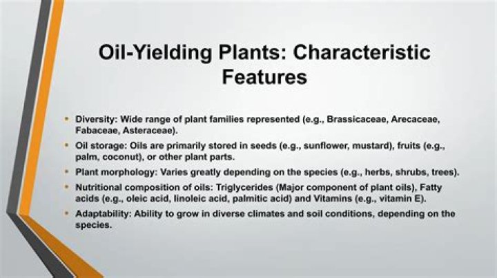 In which of the following family oil yielding plants are present?