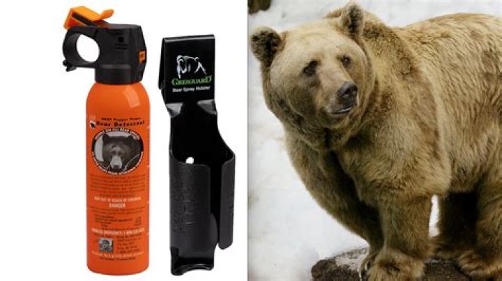 Is a gun or bear spray more effective?