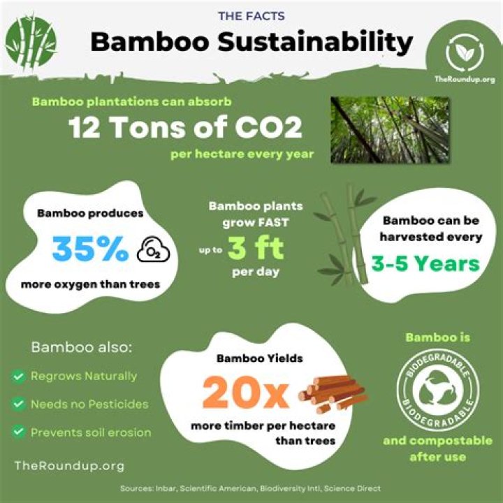 Is bamboo good for wet areas?