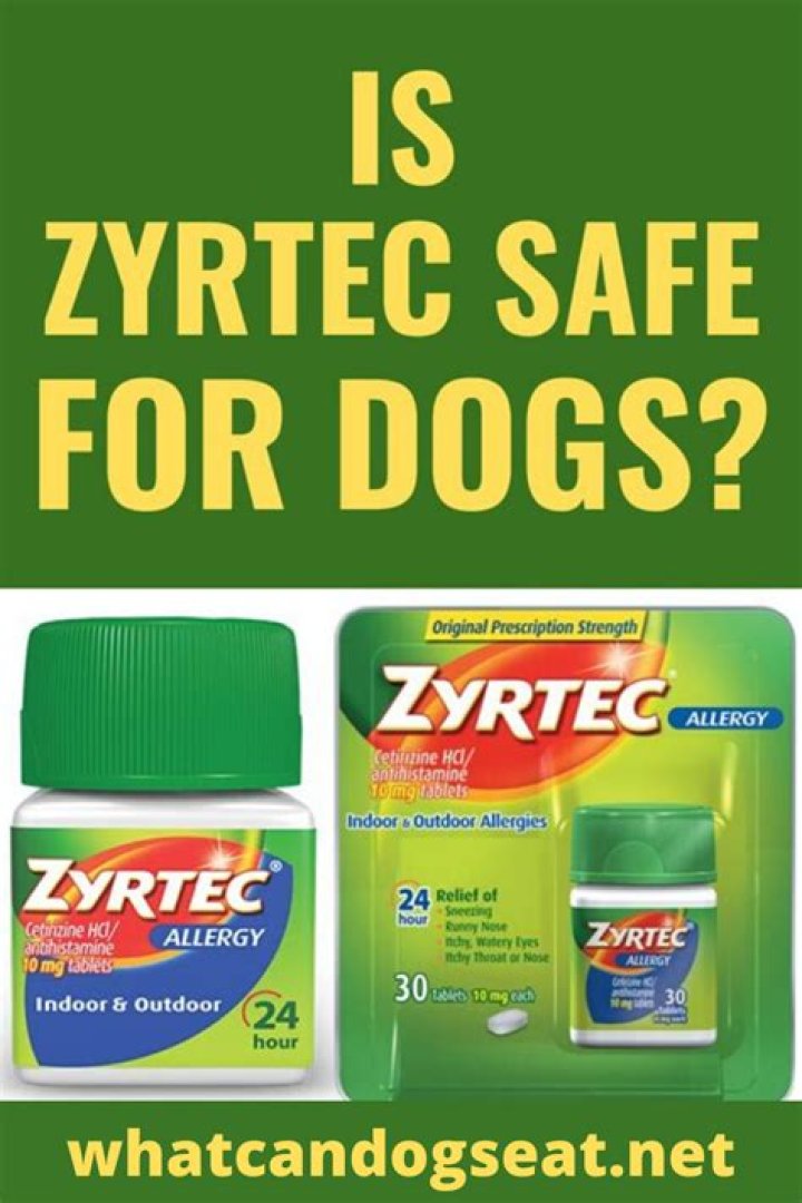 Is Benadryl or Zyrtec better for dogs?