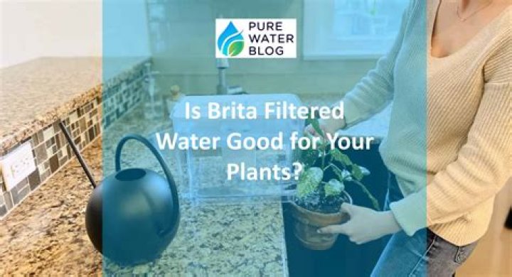 Is Brita water good for plants?