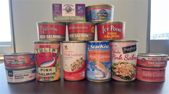 Is canned salmon bad for dogs?