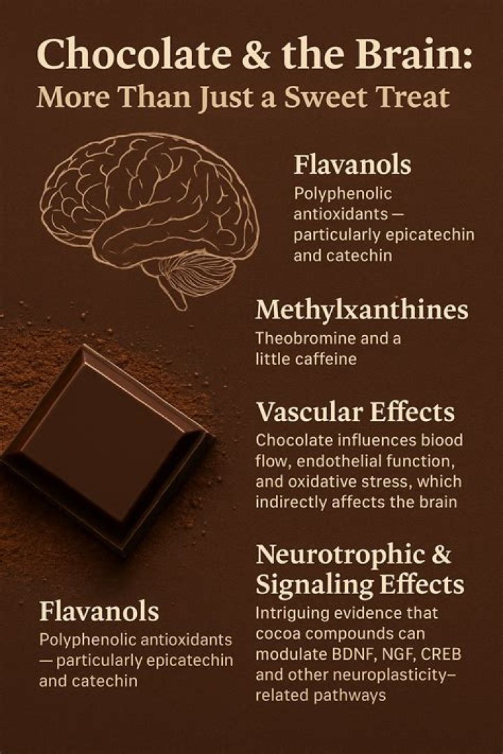 Is chocolate good for brain?