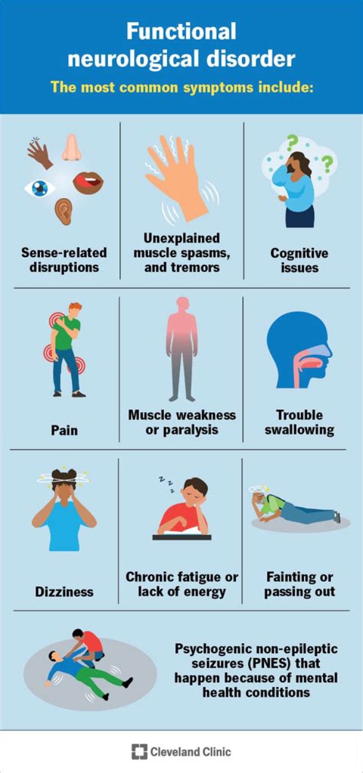 Is chronic fatigue syndrome a functional neurological disorder?