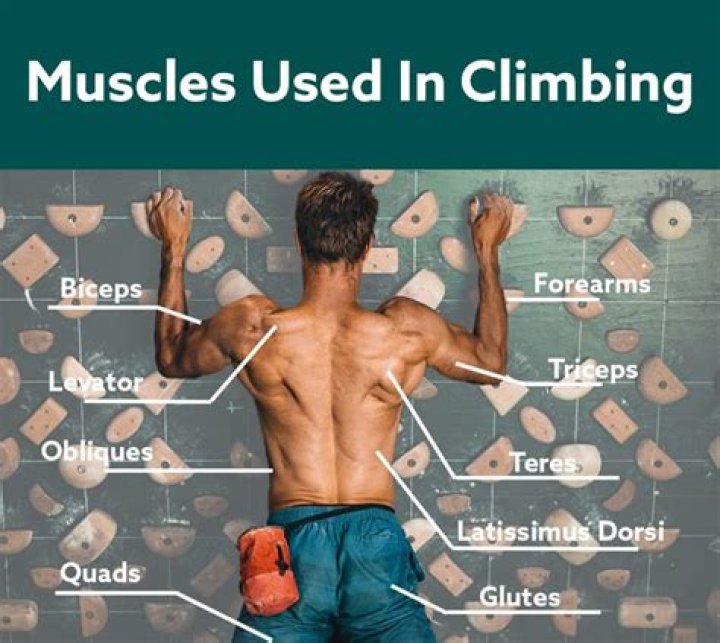 Is climbing a good work out?