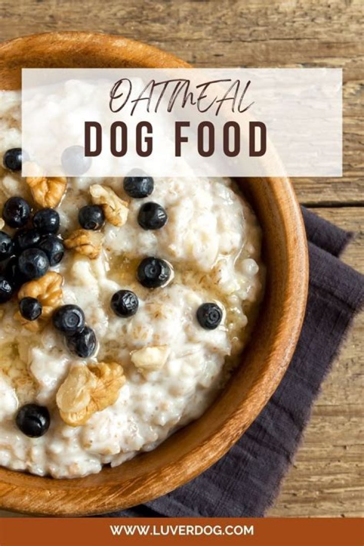 Is cooked oatmeal good for dogs?