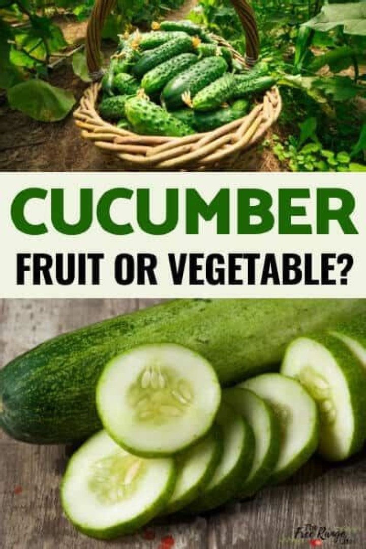 Is cucumber a fruit or vegetable?
